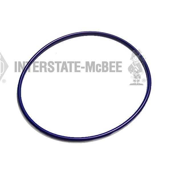 A-8929253 Seal Ring - Fuel Pump Drive