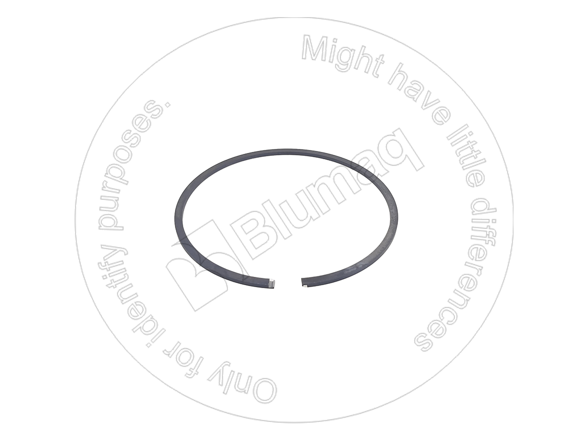 131-21-43510 BLUMAQ Segment