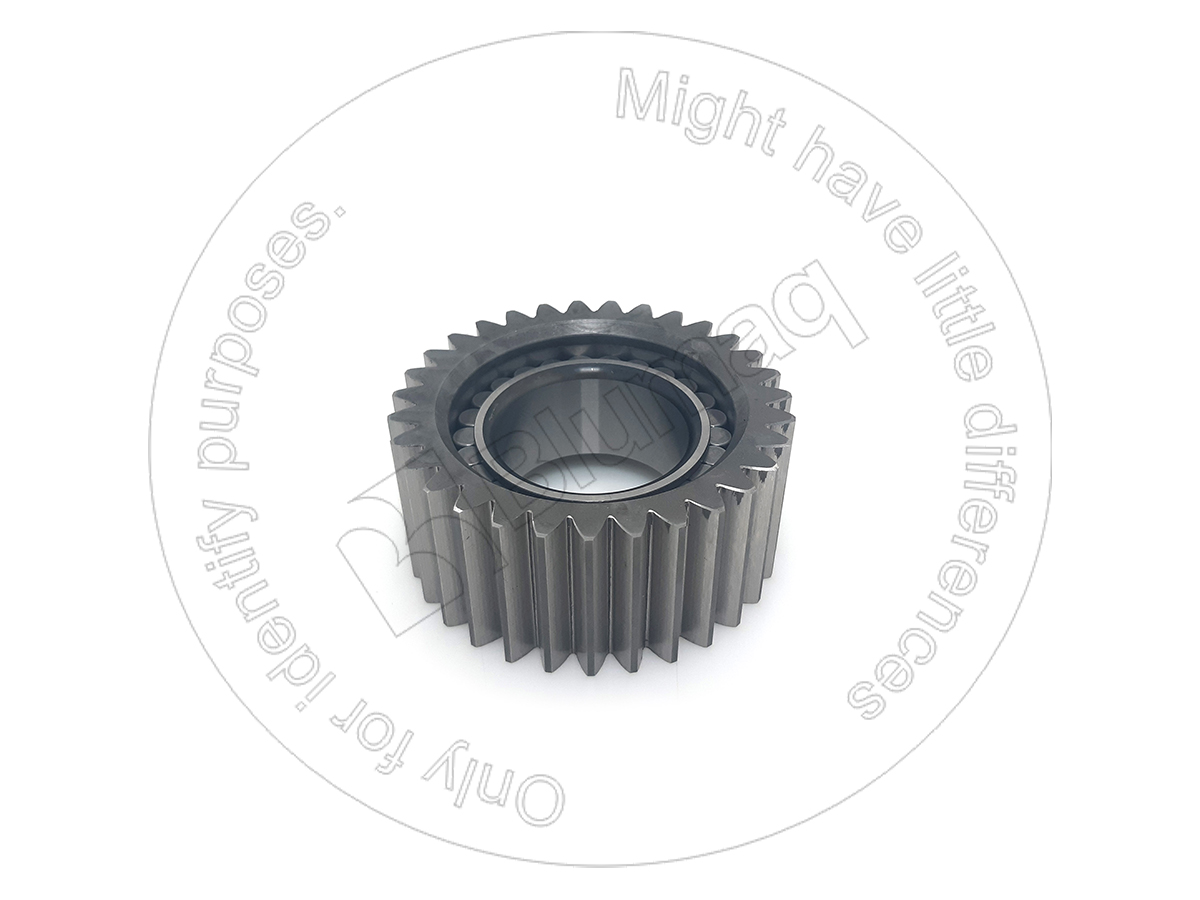 CS84555227 Planetary Gear