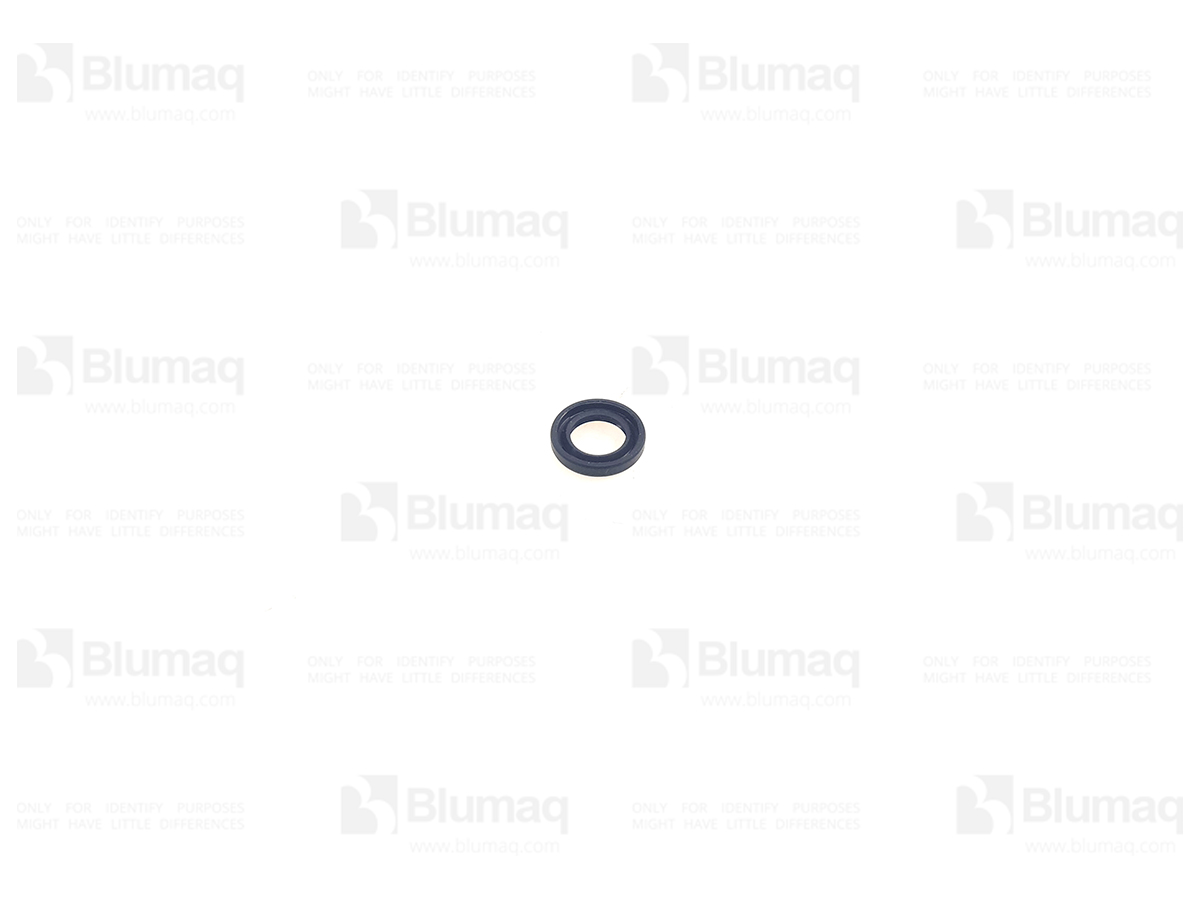 ND949150-0210 Oil Seal for BLUMAQ