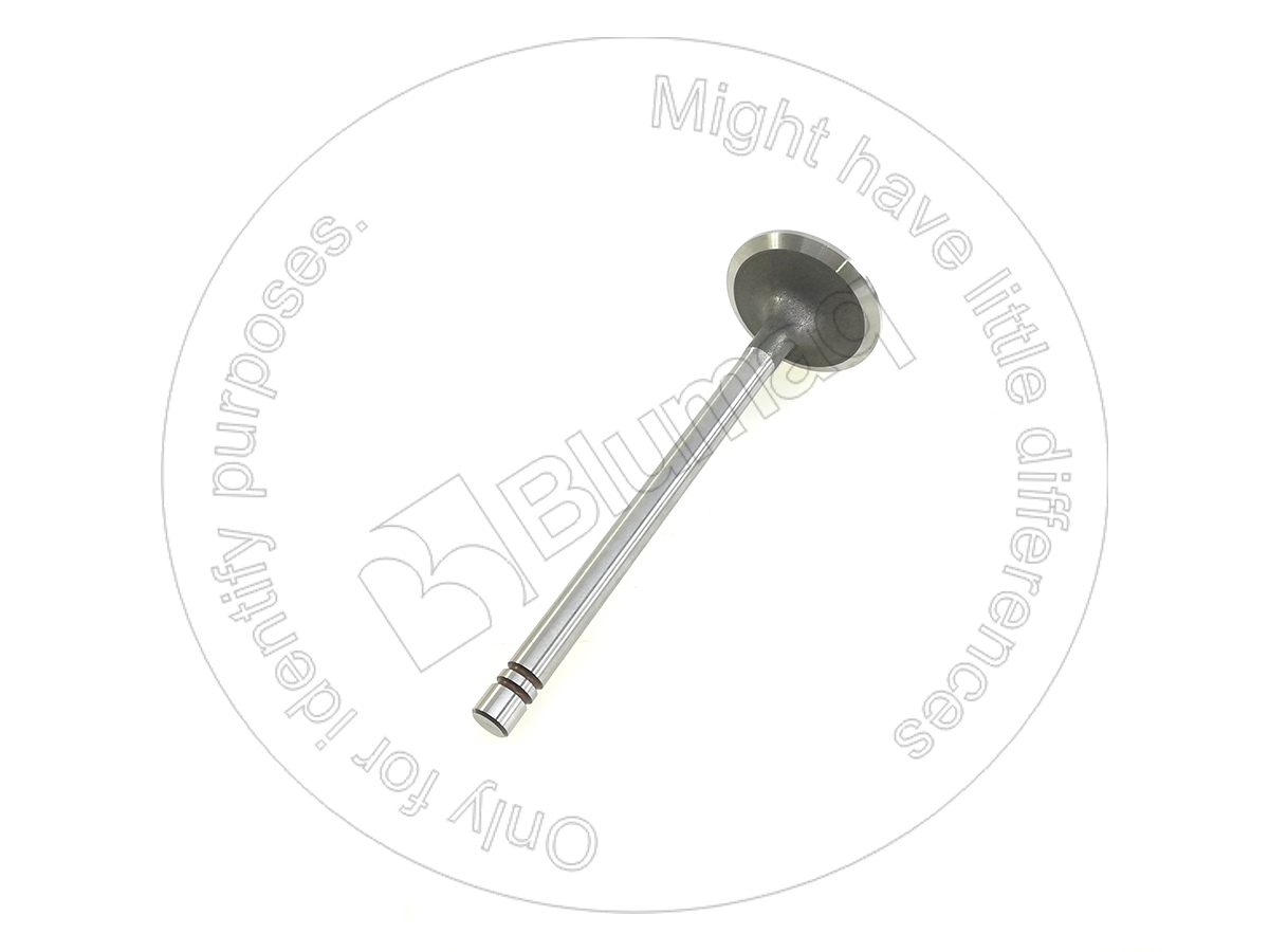 9N-0180 Intake Valve for BLUMAQ