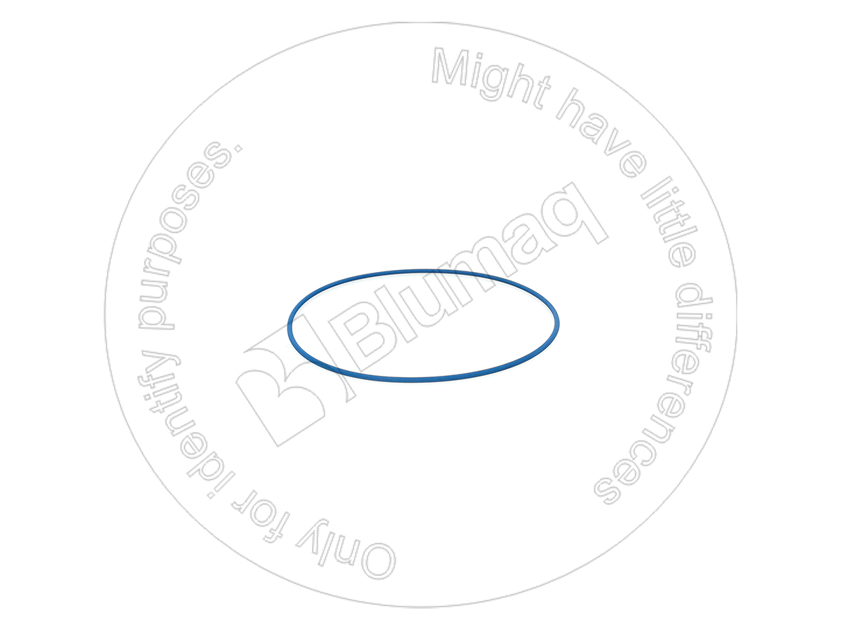 298-6387 BLUMAQ Seal O-ring