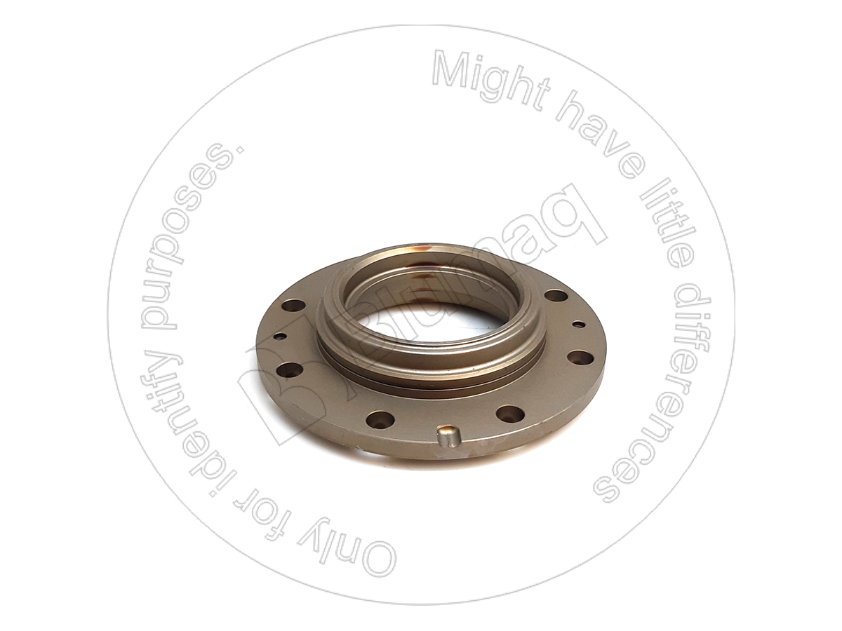 JDL100238 BLUMAQ Flange
