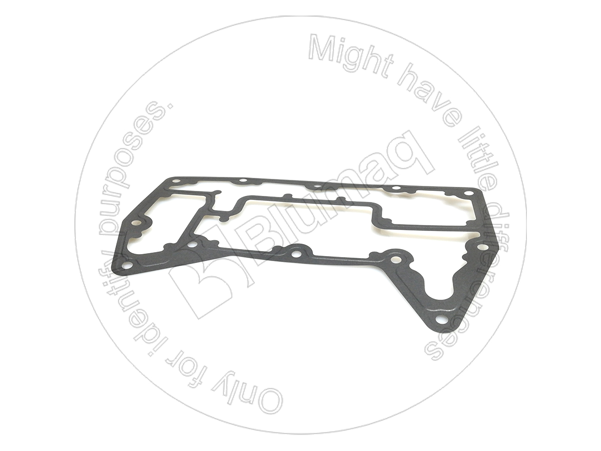 209-7290 Gasket for BLUMAQ