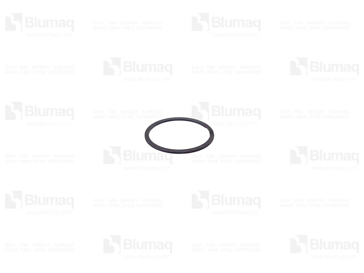 8H-8830 Seal Ring for BLUMAQ