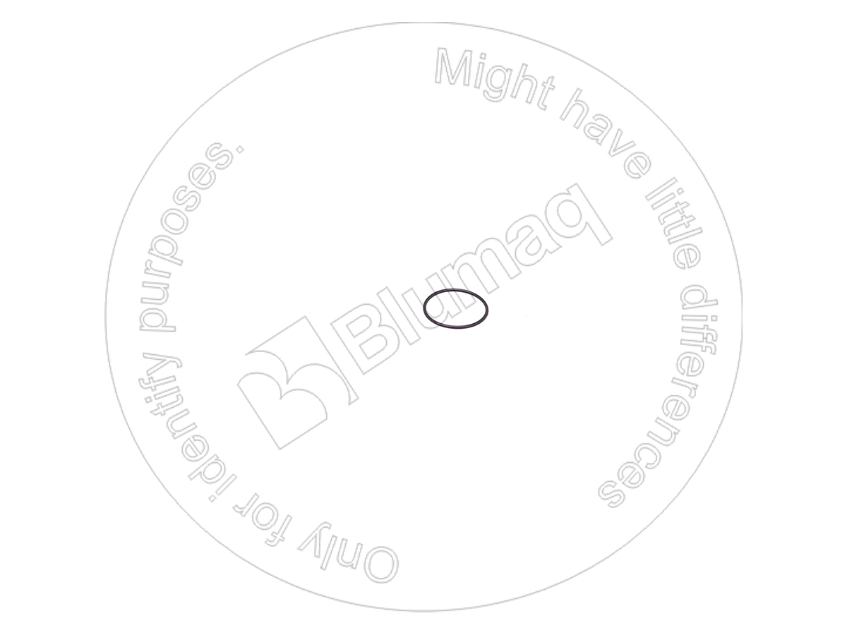 CSS300460 BLUMAQ Seal O-ring
