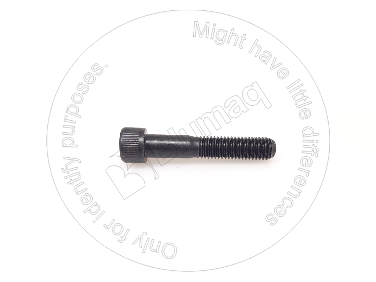 950674 BLUMAQ Allen Bolt