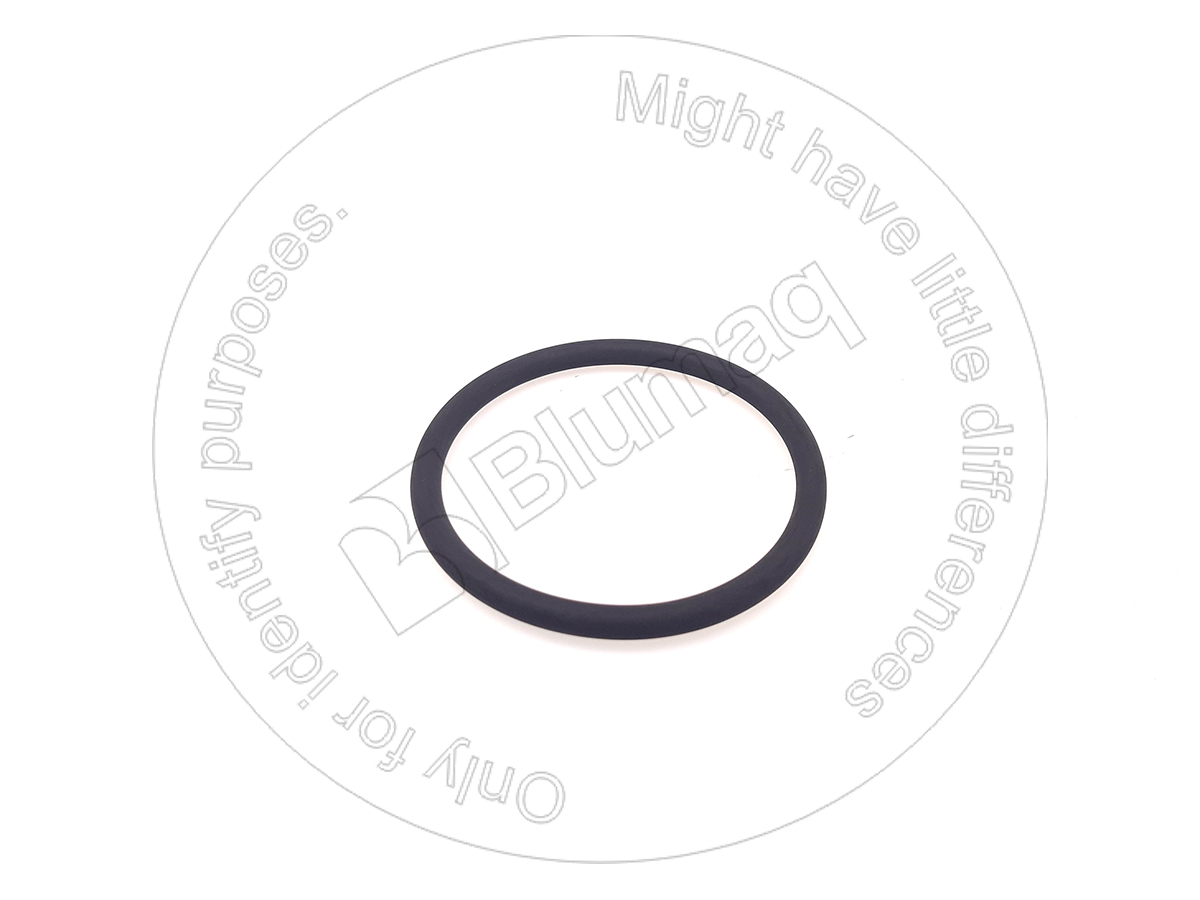 310-3953 Seal O-ring for BLUMAQ