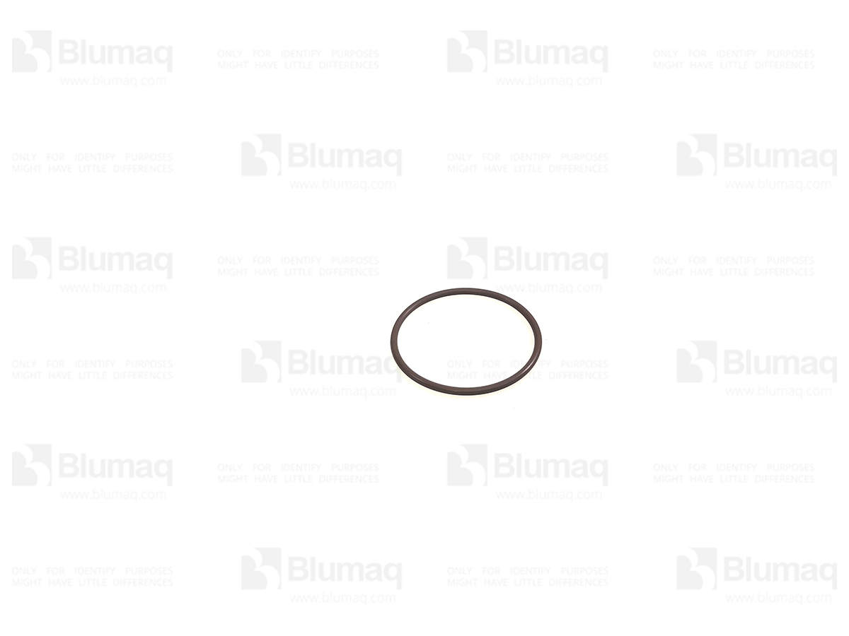 CS238-6231 Seal O-ring for BLUMAQ