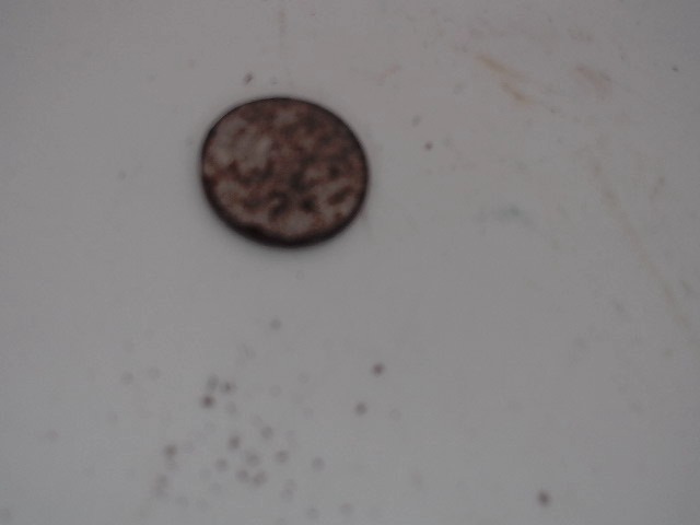126-21 Key for CUB CADET