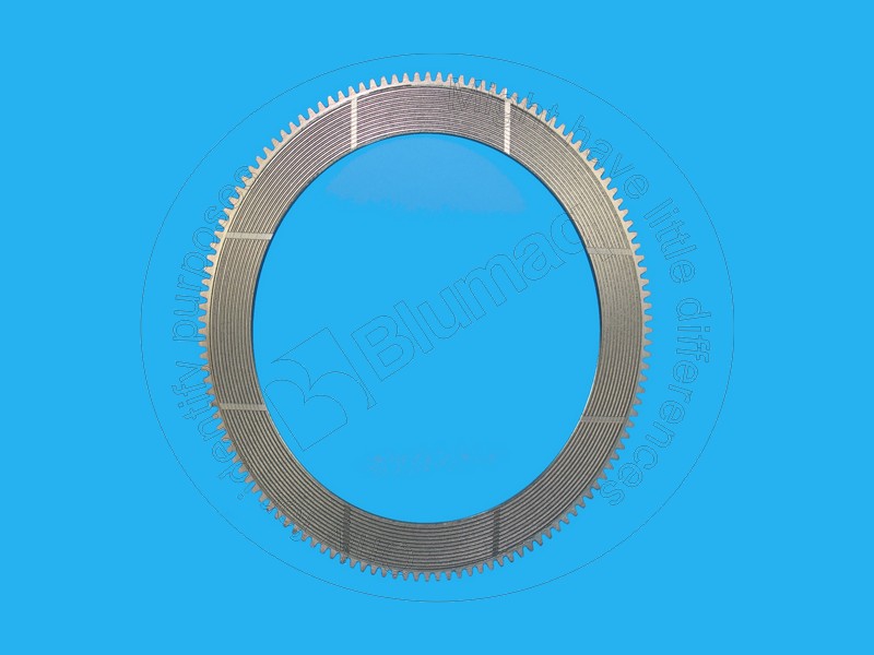 175-22-21310 Disc for BLUMAQ