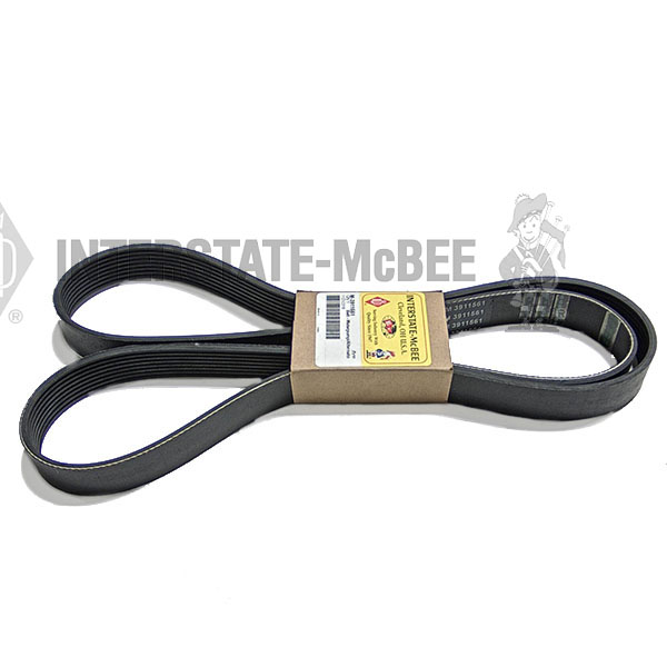 M-3911561 Belt - Water Pump
