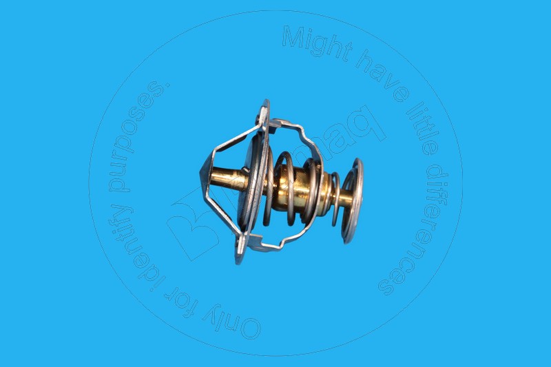 YM12185049811 Thermostat