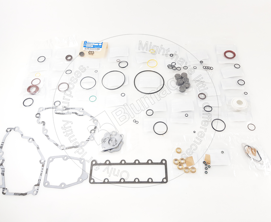 134-3038 Gasket Kit for BLUMAQ