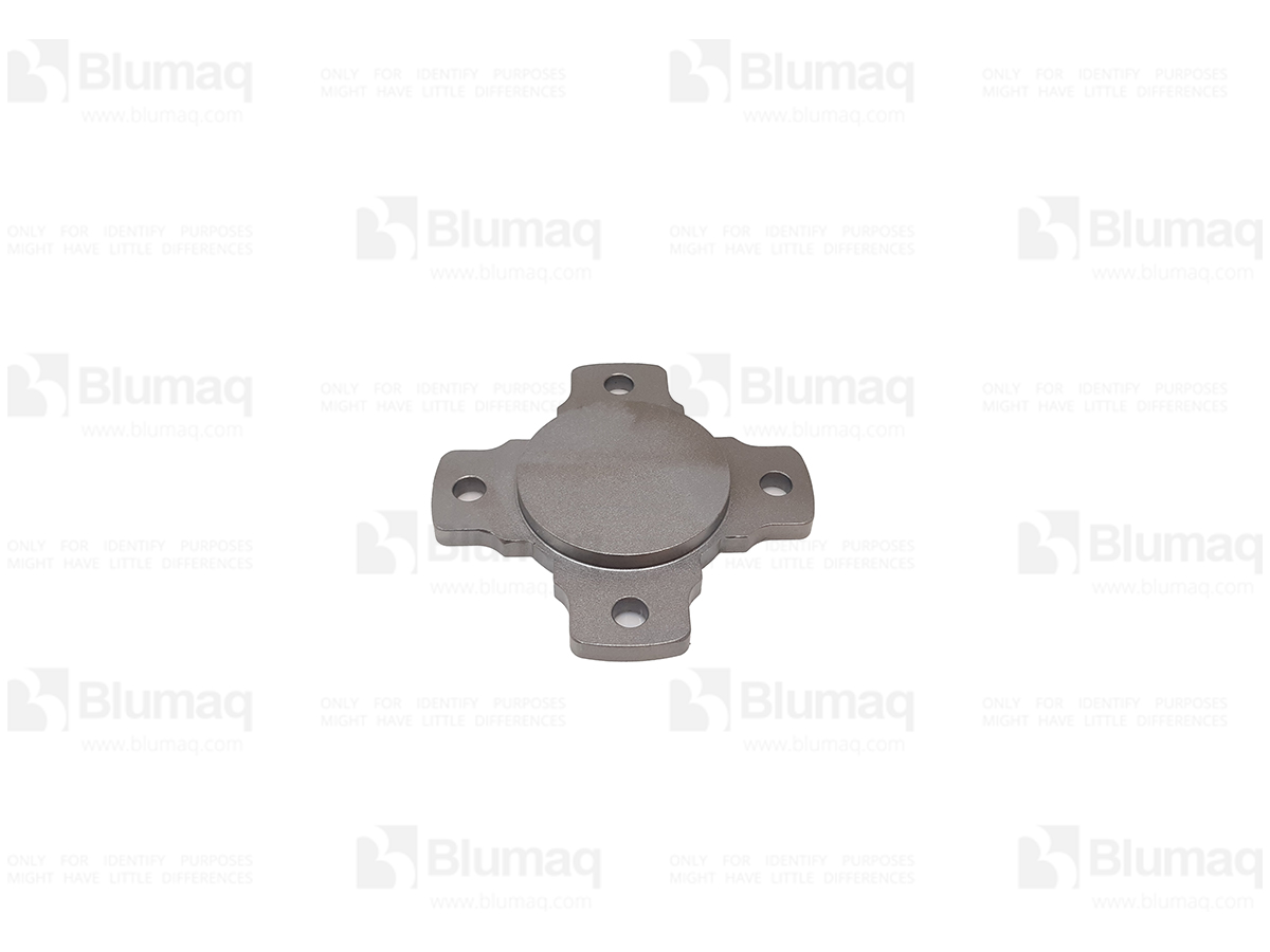 2G-4553 Plate for BLUMAQ