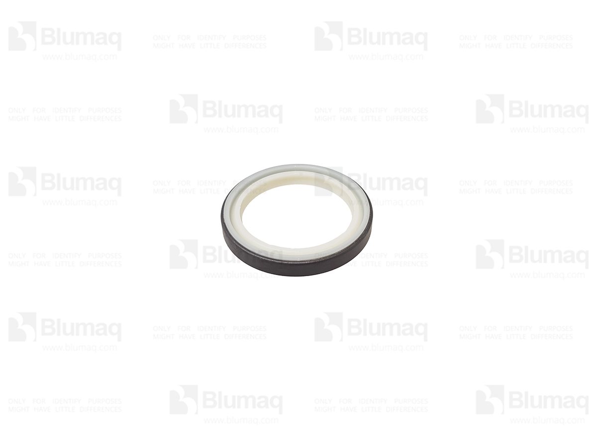 229-9381 Wiper Seal