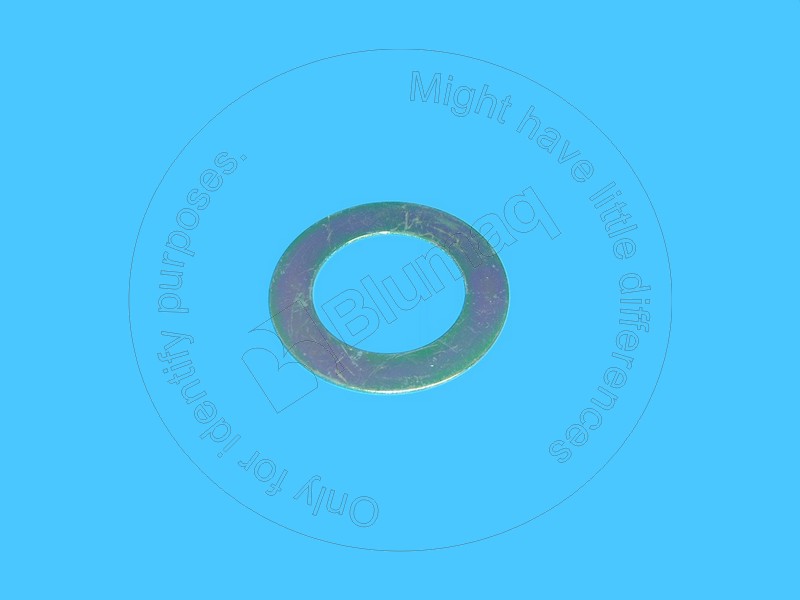 175-1795 Shim for BLUMAQ