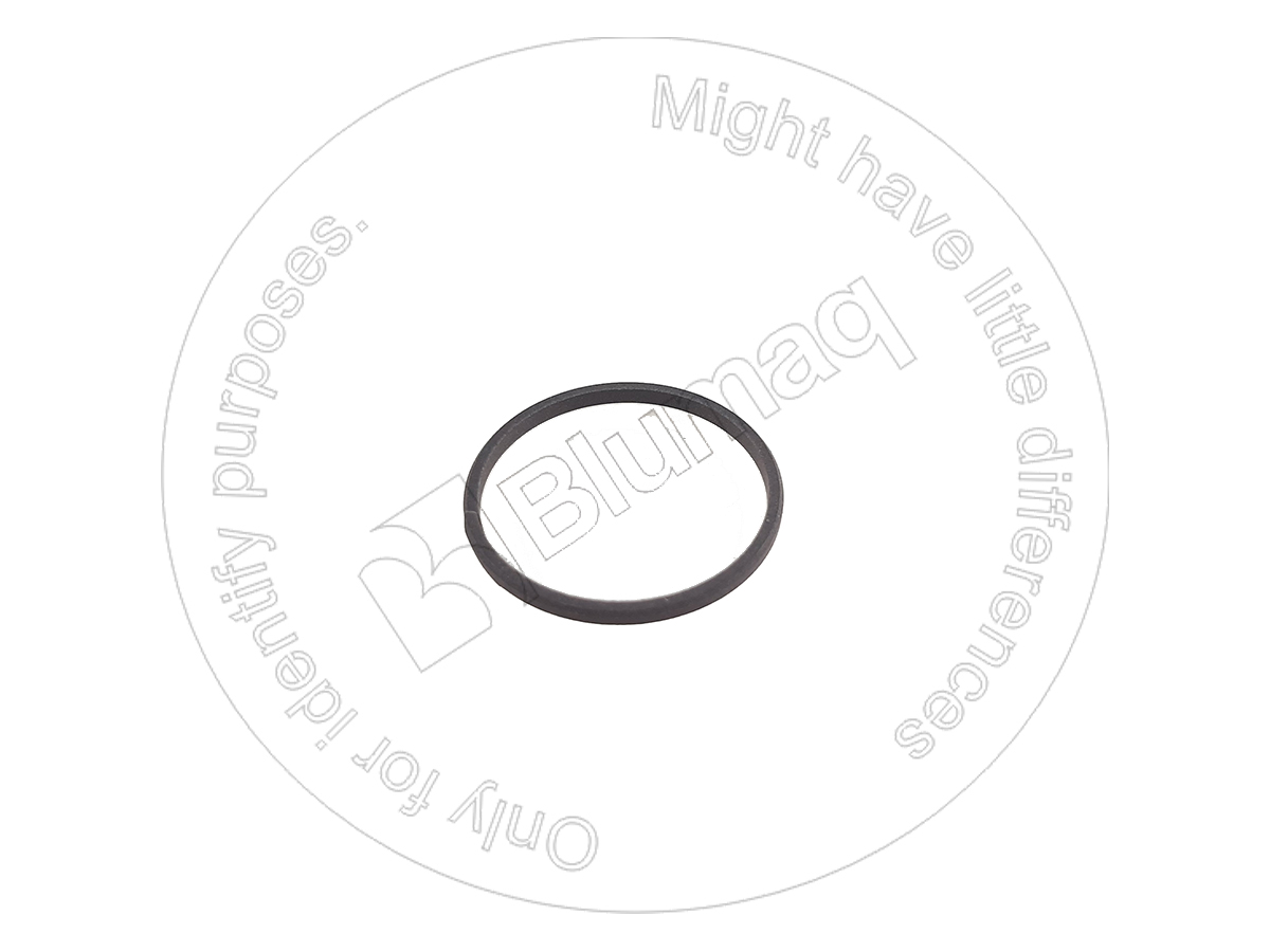 714-21-19810 Ring for BLUMAQ