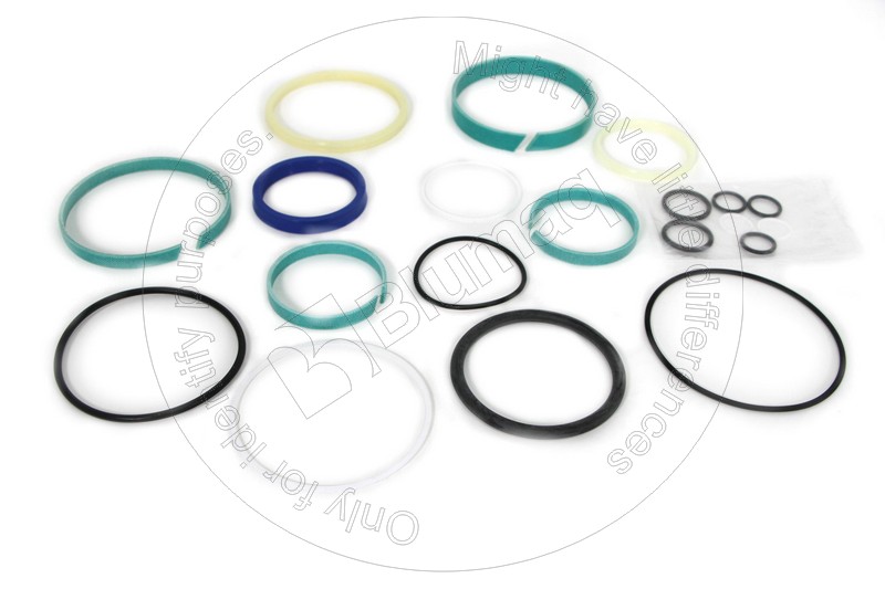 118-3135 Seal Kit for BLUMAQ