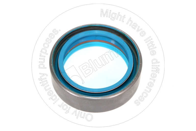 CS153317509 CASE Seal