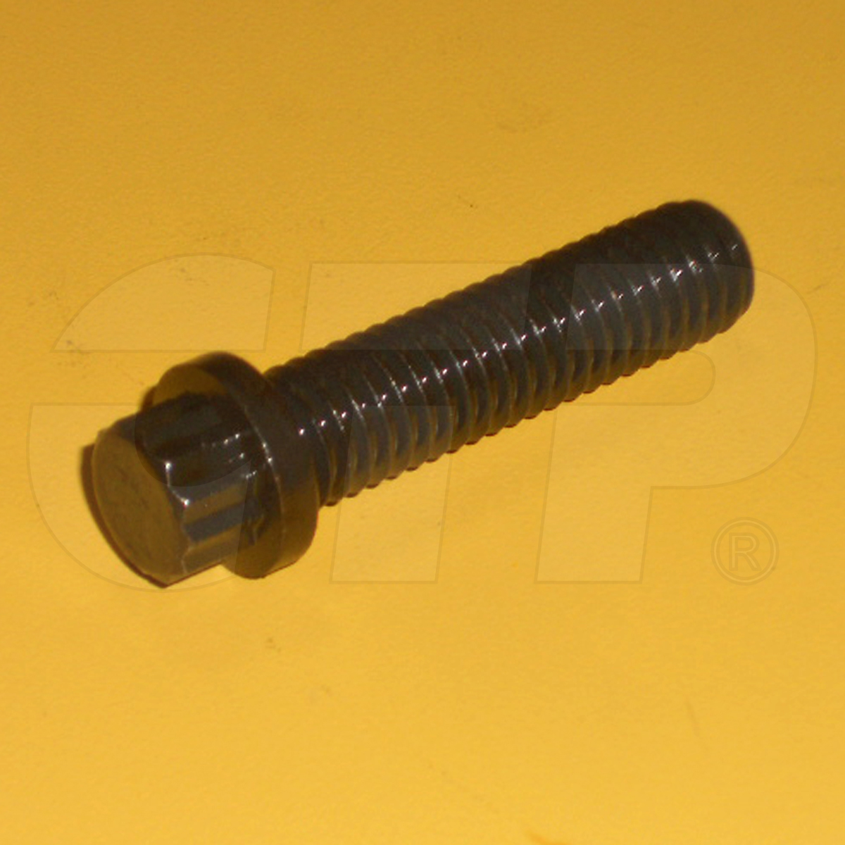 5P0076 Bolt 12 Point Head