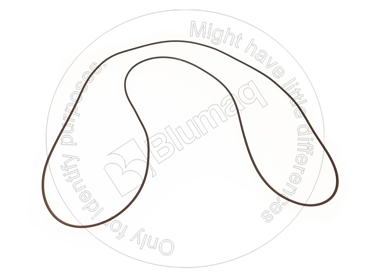 6D-1355 Seal O-ring for BLUMAQ