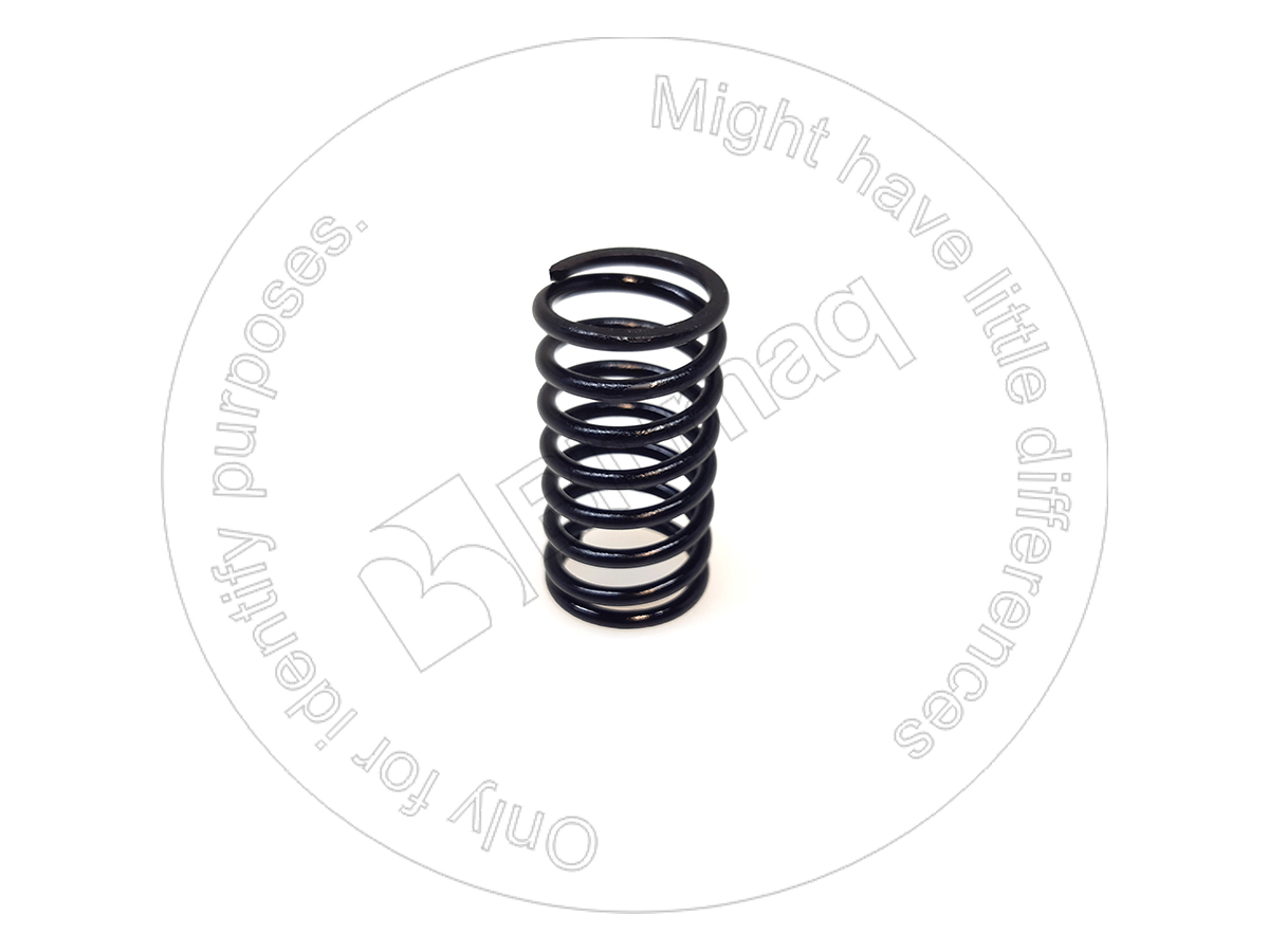 6P-4978 Spring for BLUMAQ