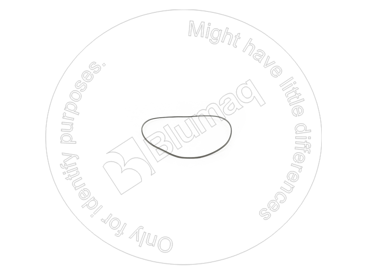 095-0272 Back-up Ring