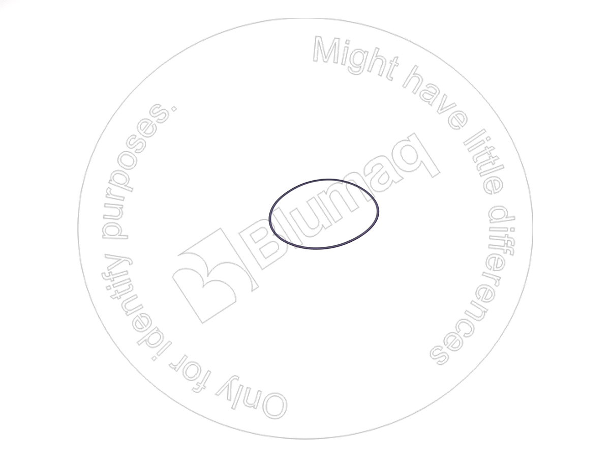 115.A503 Seal O-ring for BLUMAQ