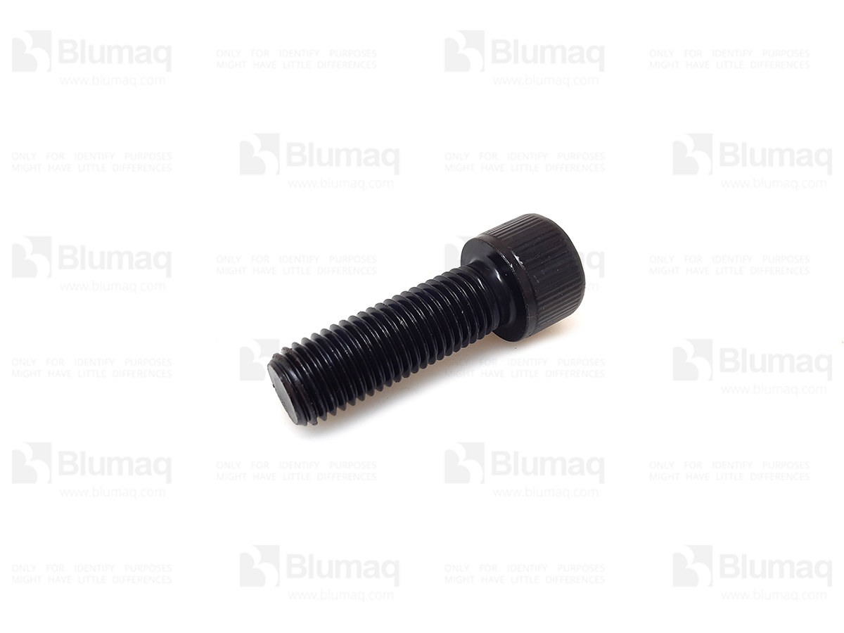 545-4548 Allen Bolt for BLUMAQ