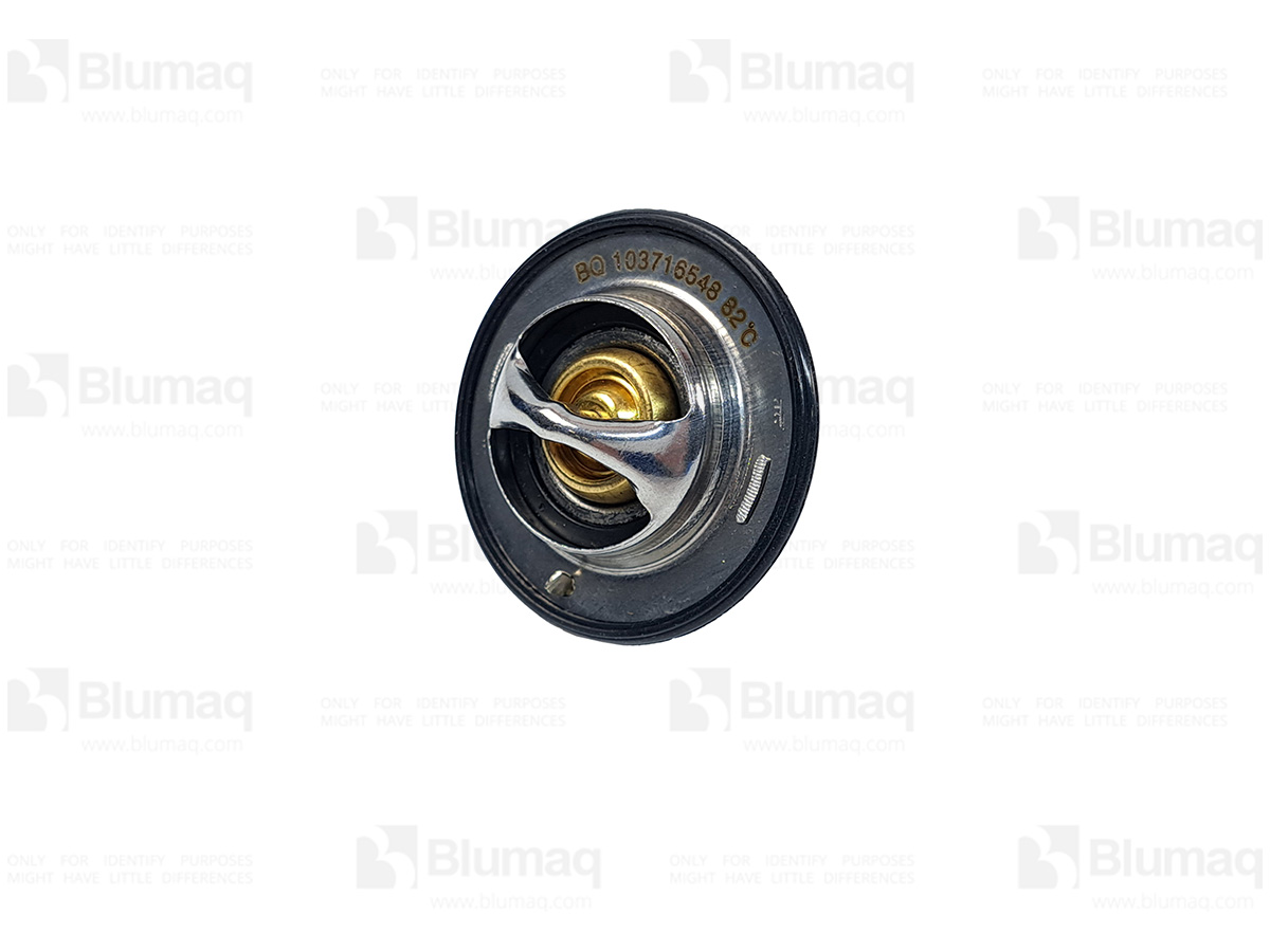 CS504078966 BLUMAQ Thermostat