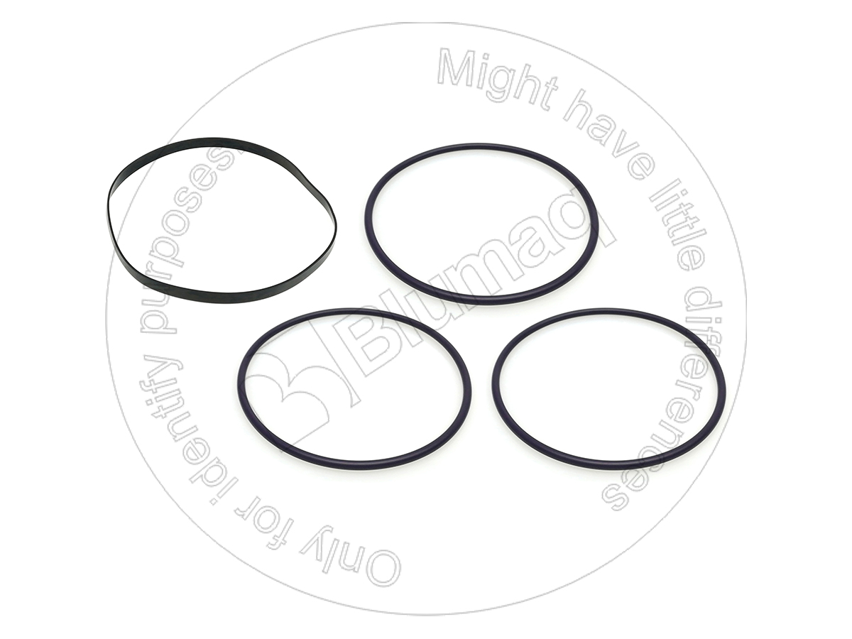 393-1024 Seal Kit