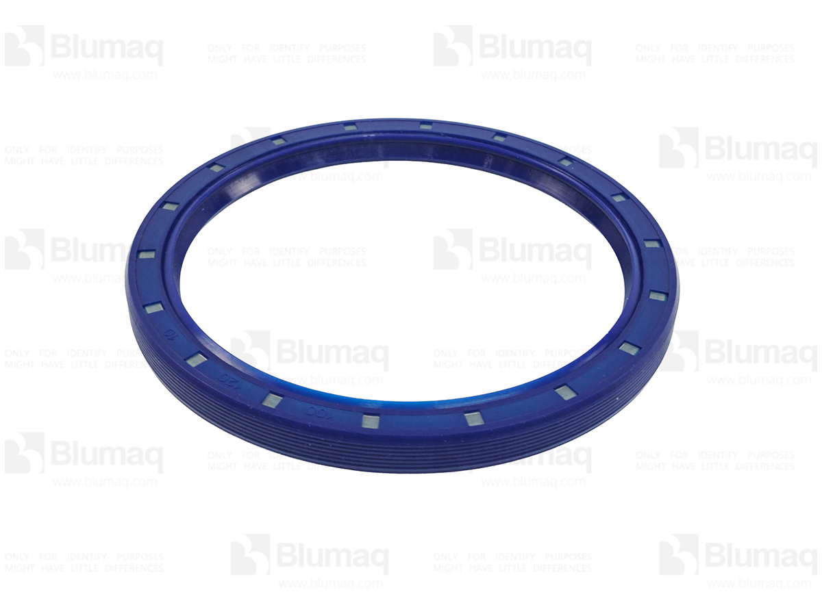 030.2203 Seal for BLUMAQ
