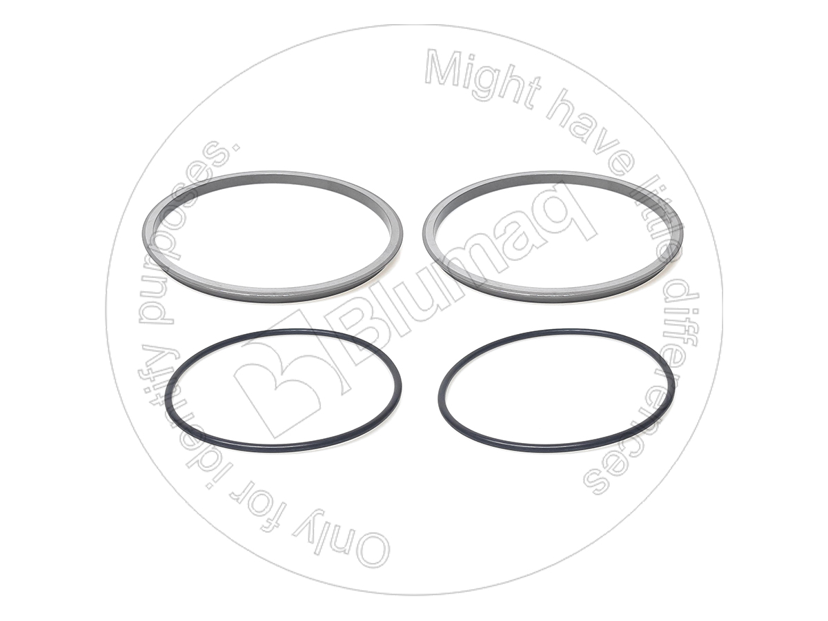 499-1312 BLUMAQ Seal Gp. Duo-cone
