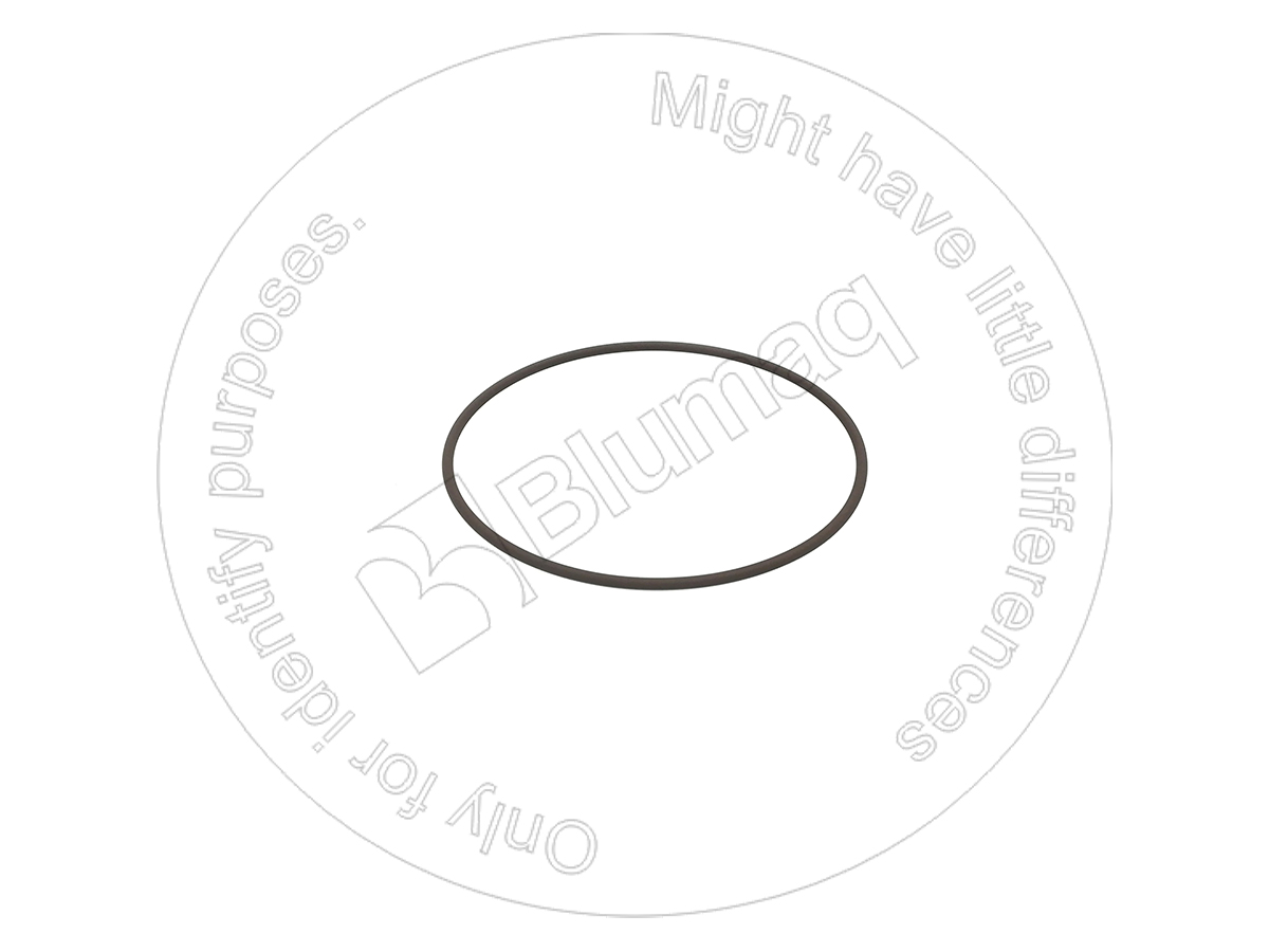 CSS06111 Seal O-ring