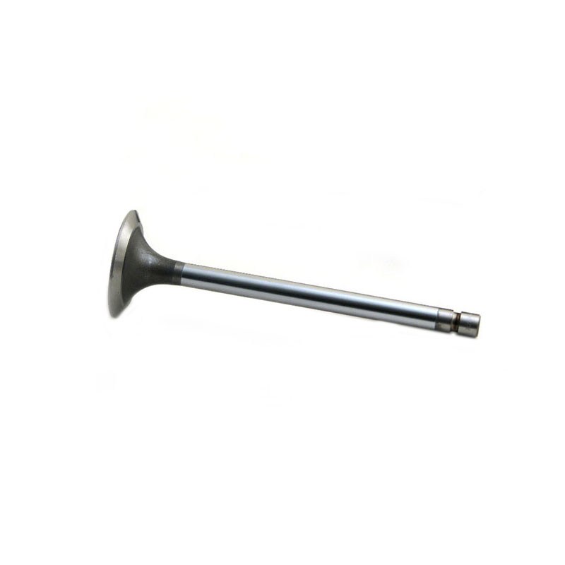 NR90602 Intake Valve for RELIANCE POWER