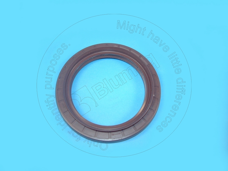 075111018 Seal for BLUMAQ