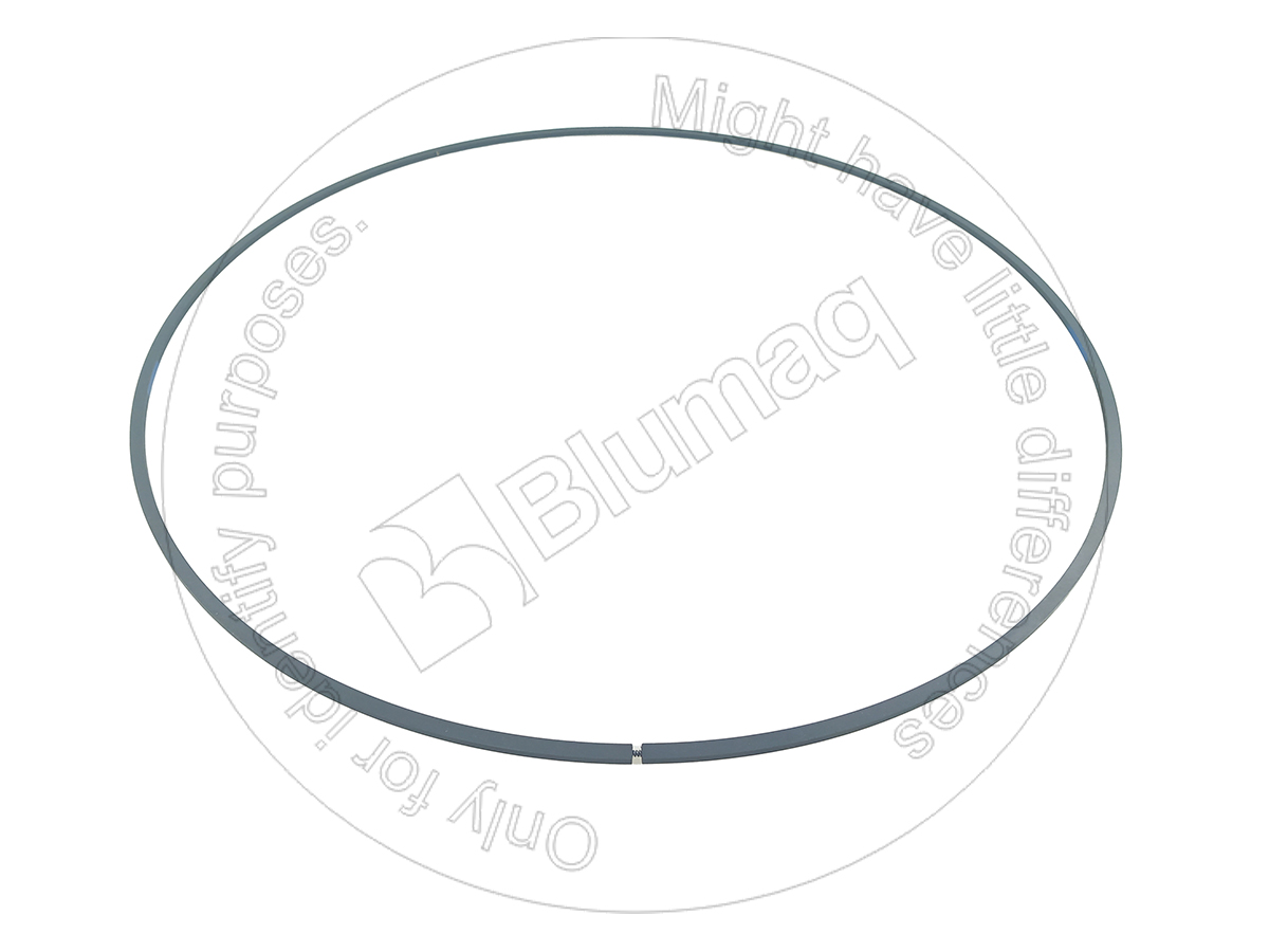 1S-5561 Seal Ring for BLUMAQ