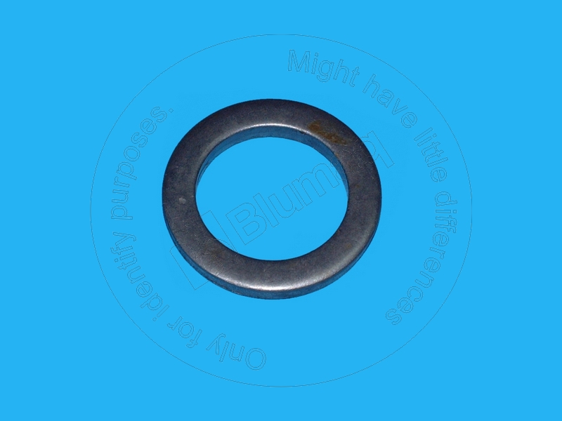 20G-23-31320 Washer for BLUMAQ
