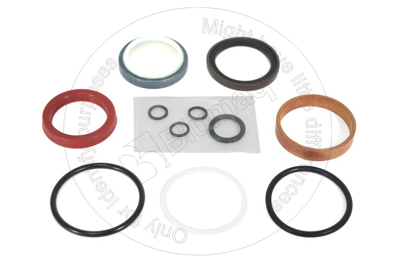 707-98-05450 Hydraulic Seal Kit for BLUMAQ