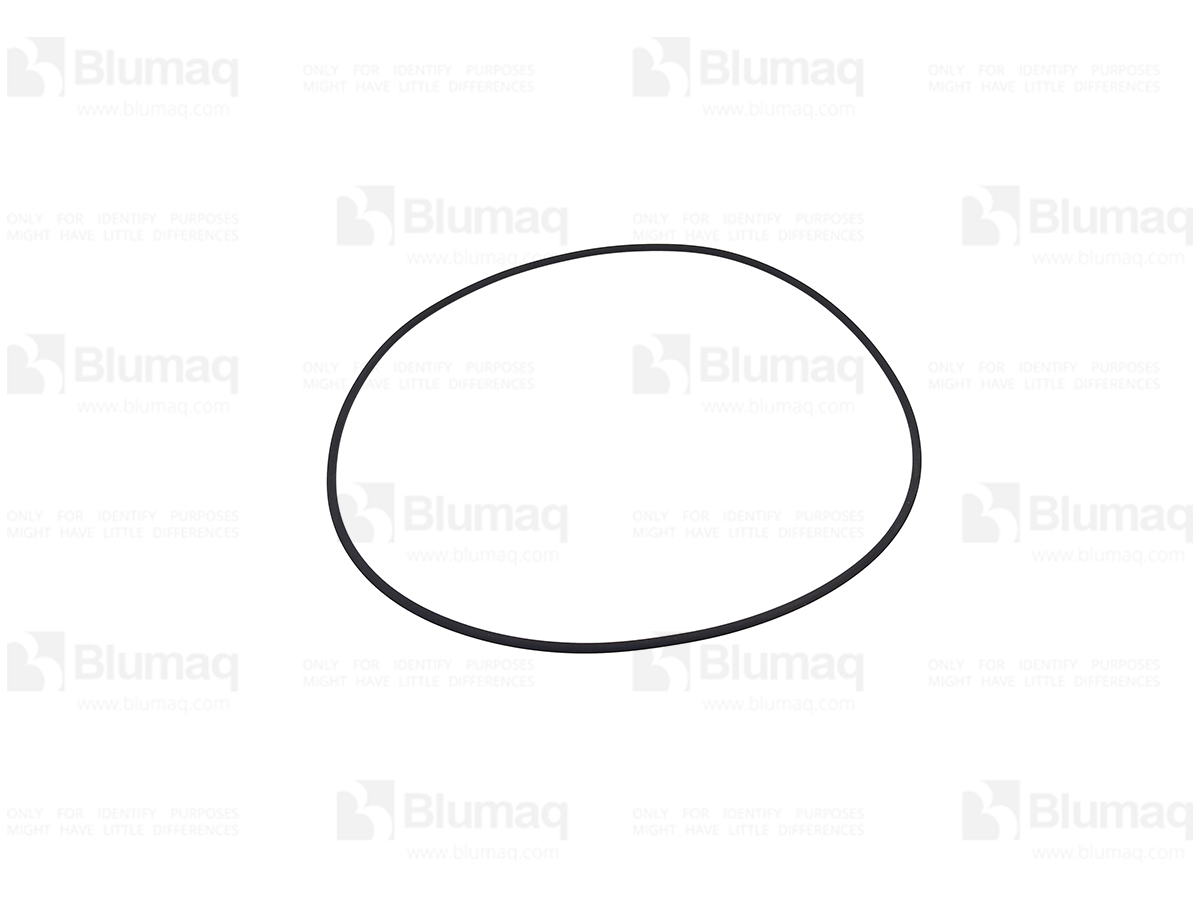 S06/42688 Seal O-ring for BLUMAQ
