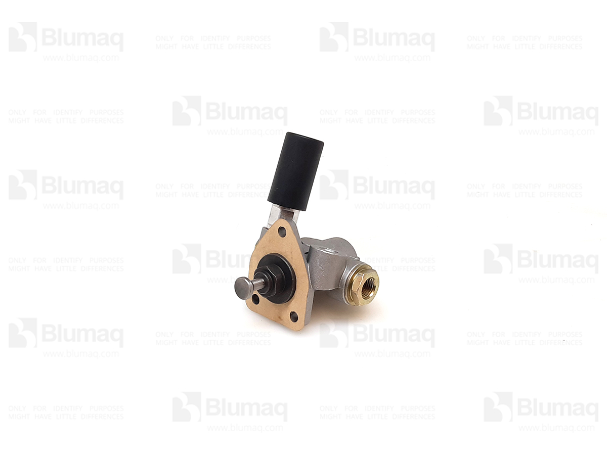 440008980 Feeding Pump for BLUMAQ