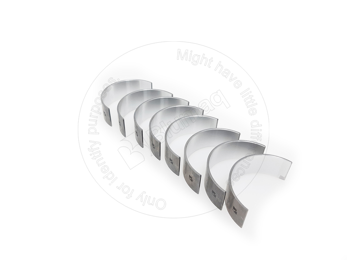 JC02/634783 Con. Rod Bearing Set for BLUMAQ