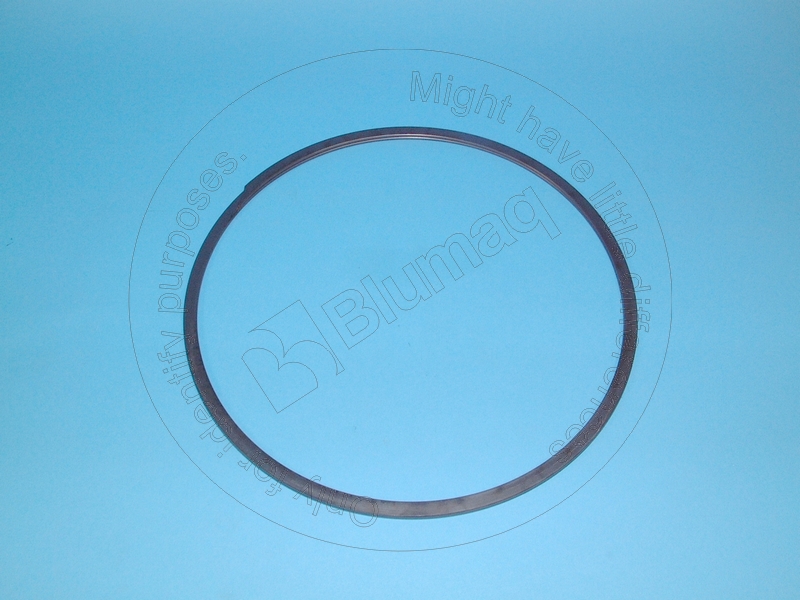 3W-2421 Ring for BLUMAQ