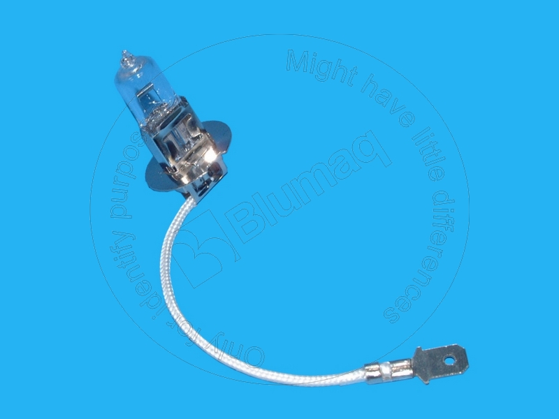CS9703399 Bulb for BLUMAQ