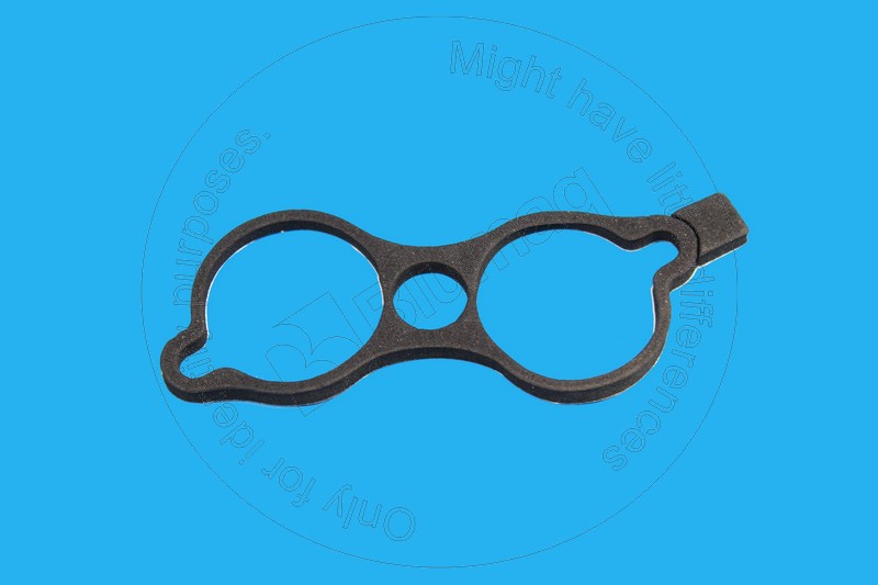 147-3062 Gasket for BLUMAQ