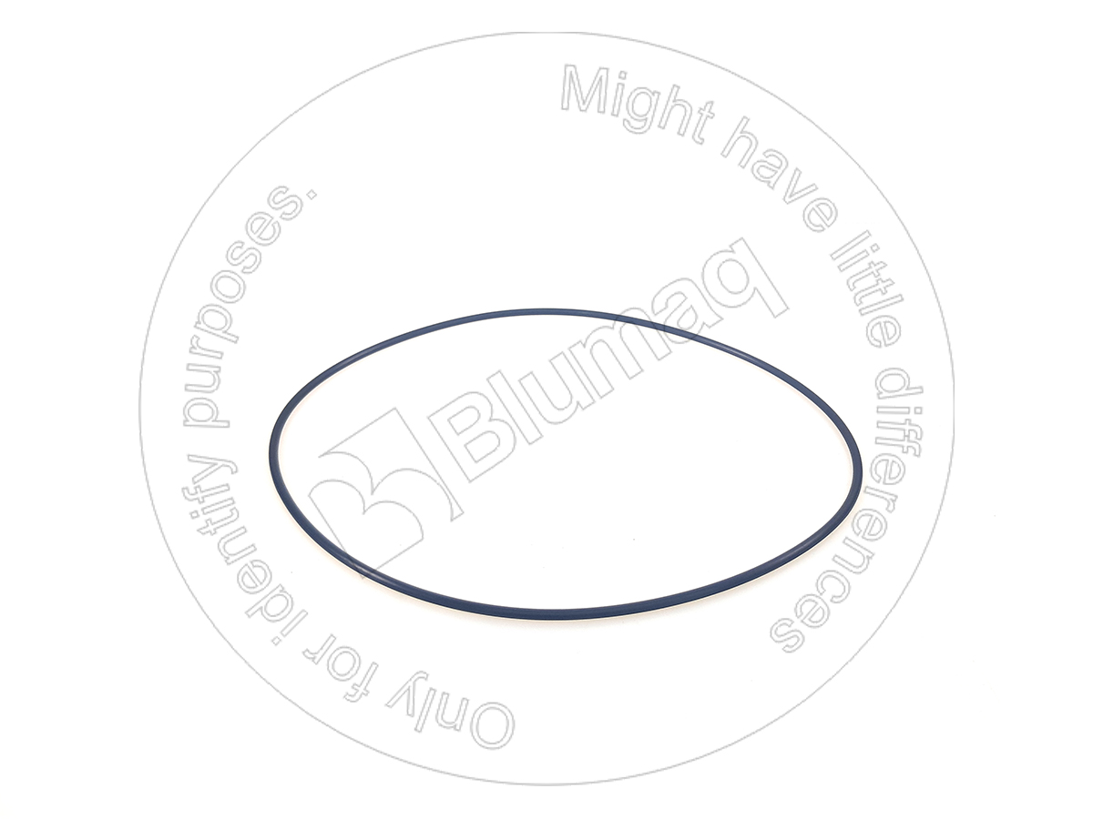 5H-4082 Seal O-ring for BLUMAQ