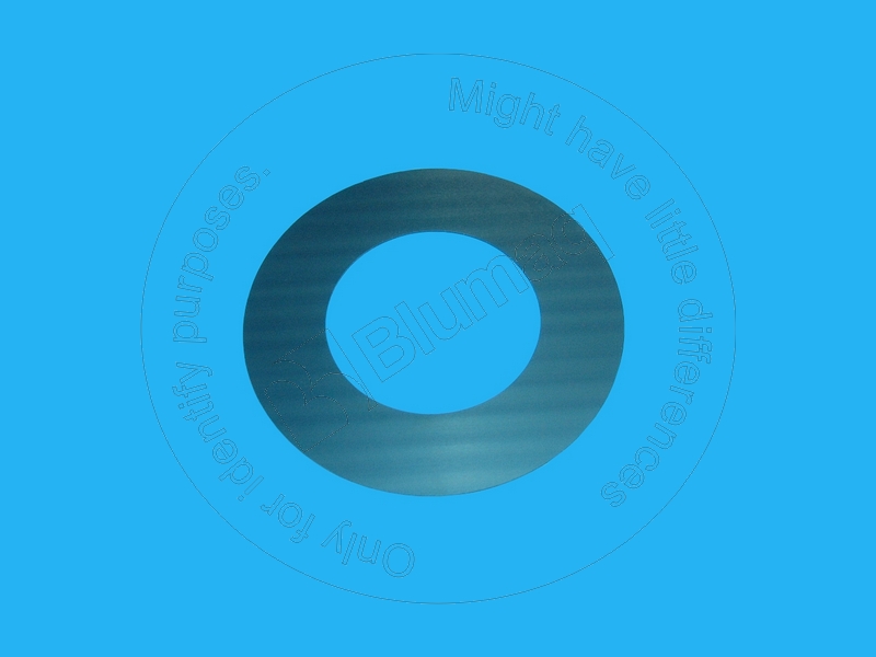 VO11035881 Thrust Washer for VOLVO