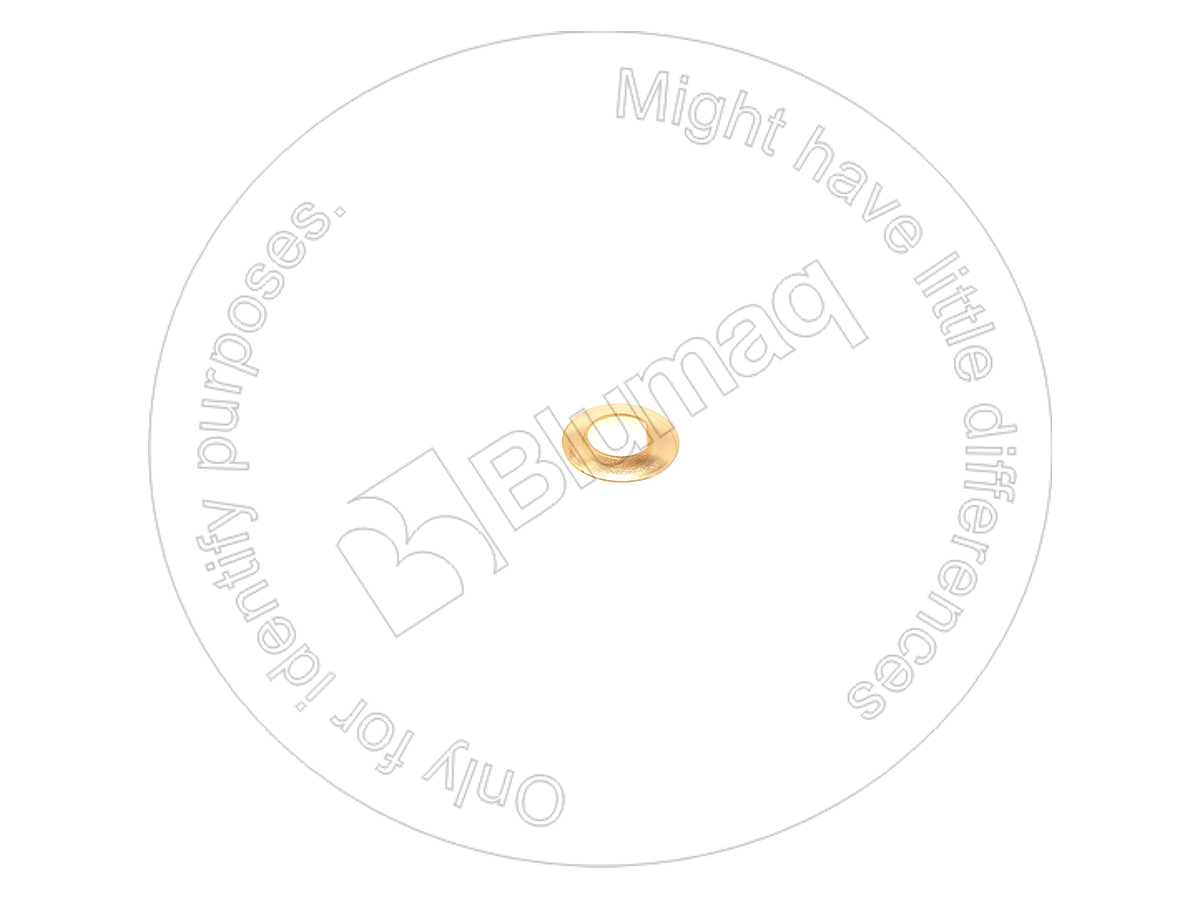 BC100485-56T Plate for BLUMAQ