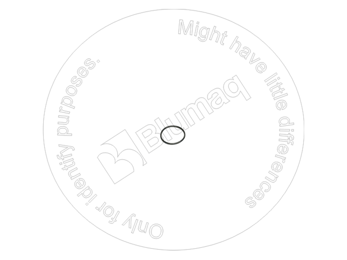 VO9512-02127 Seal O-ring for BLUMAQ